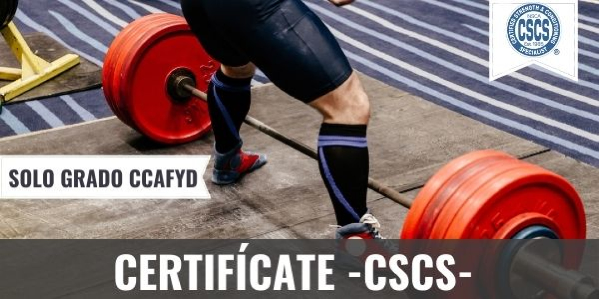 Curso oficial de preparación CSCS Madrid OCTUBRE 2021