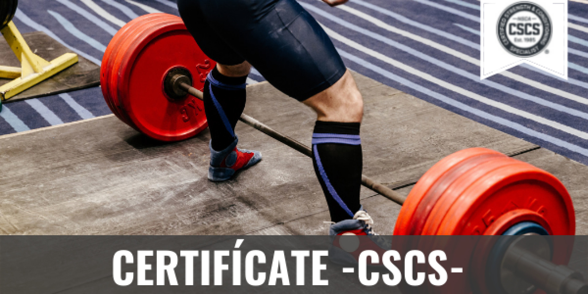 Curso PRESENCIAL-VIRTUAL oficial de preparación CSCS JUNIO 2022
